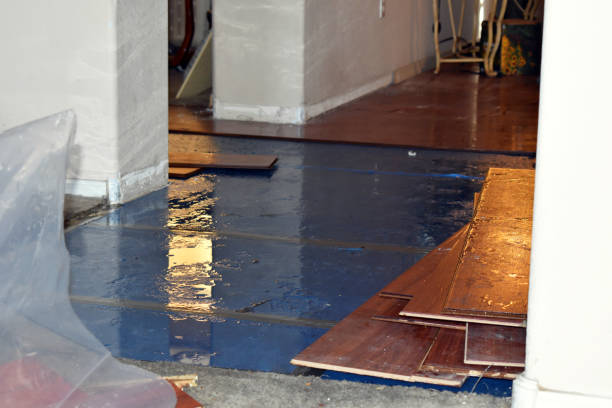 Professional Sewage Cleanup technician working in Coloma, MI
